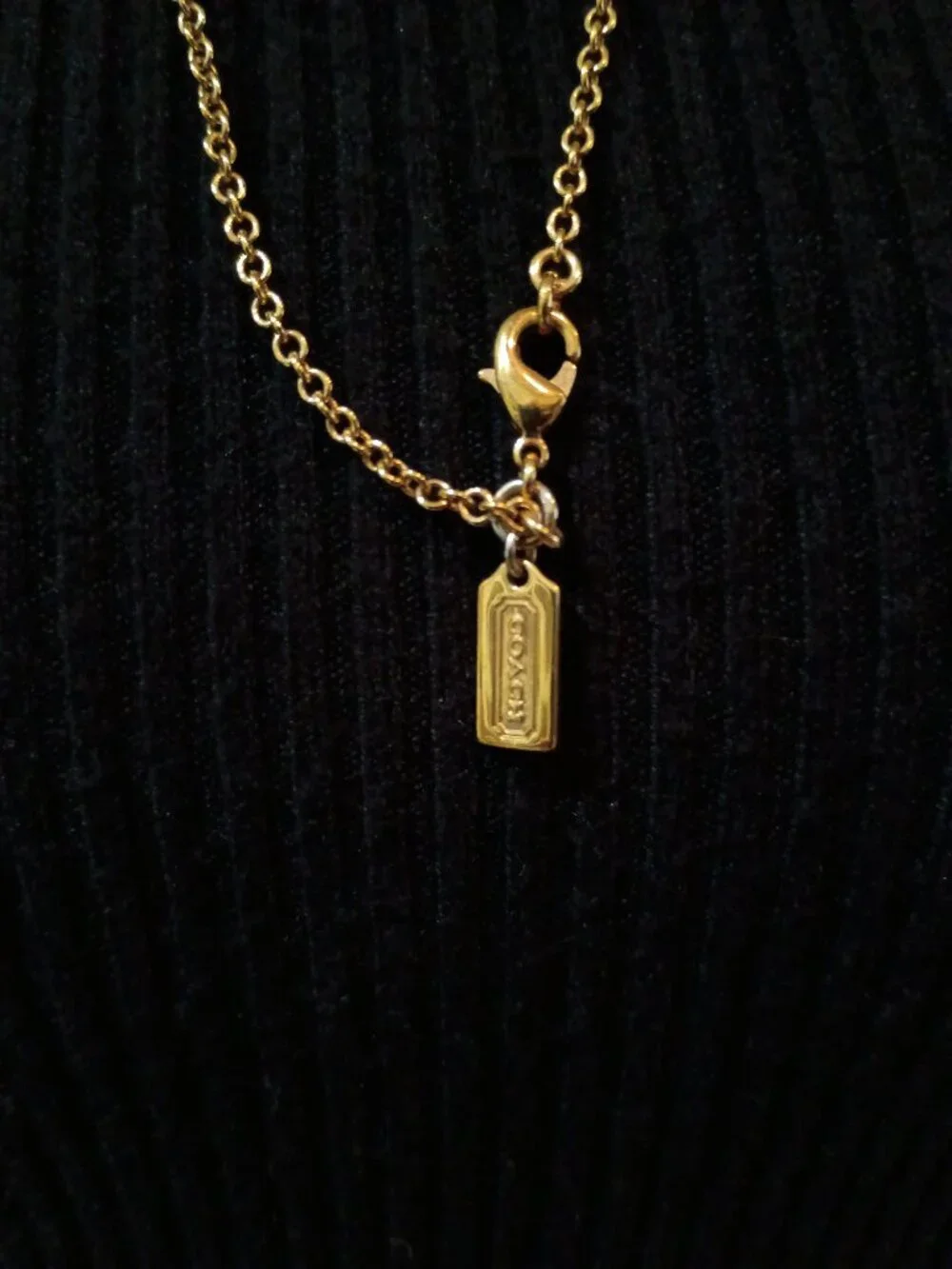 COACH Crystal Pave Globe Necklace 26501 Gold Long Ball Pendant